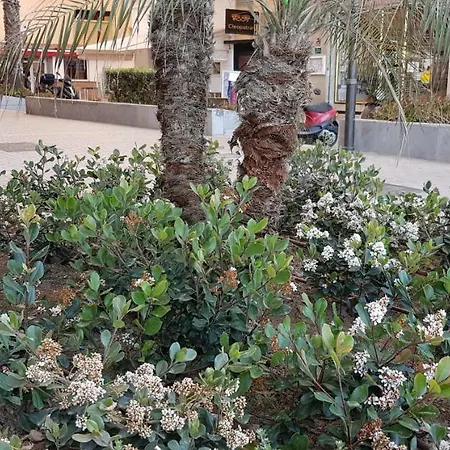 Apartment Malagueta Malaga